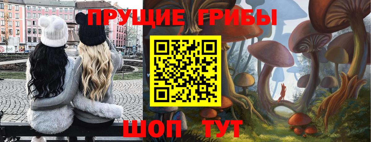 Галлюциногенные грибы мицелий Богородицк