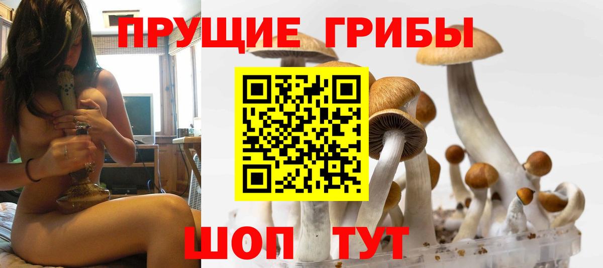 Галлюциногенные грибы мицелий Богородицк